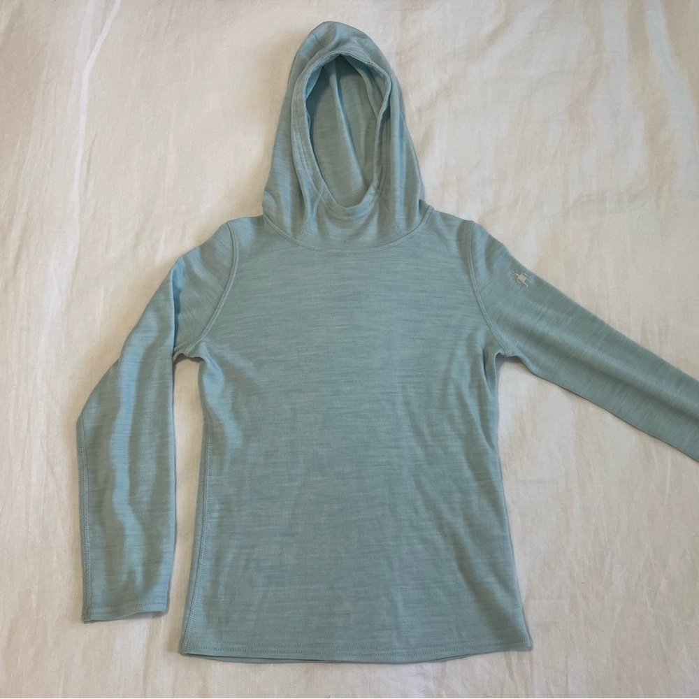 Kids Smartwool Merino 250 hoodie (Med)